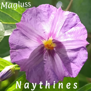 CD Naythines - estiu/tardor 2026